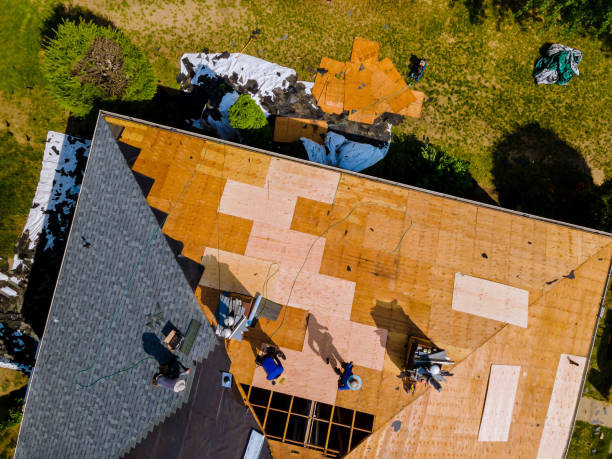 Best Flat Roof Repair Services  in Tucson Estates, AZ
